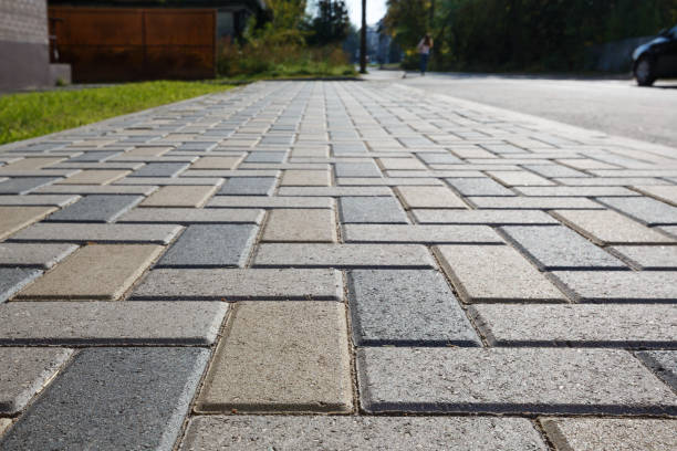 Best Local Driveway Pavers  in Colonia, NJ
